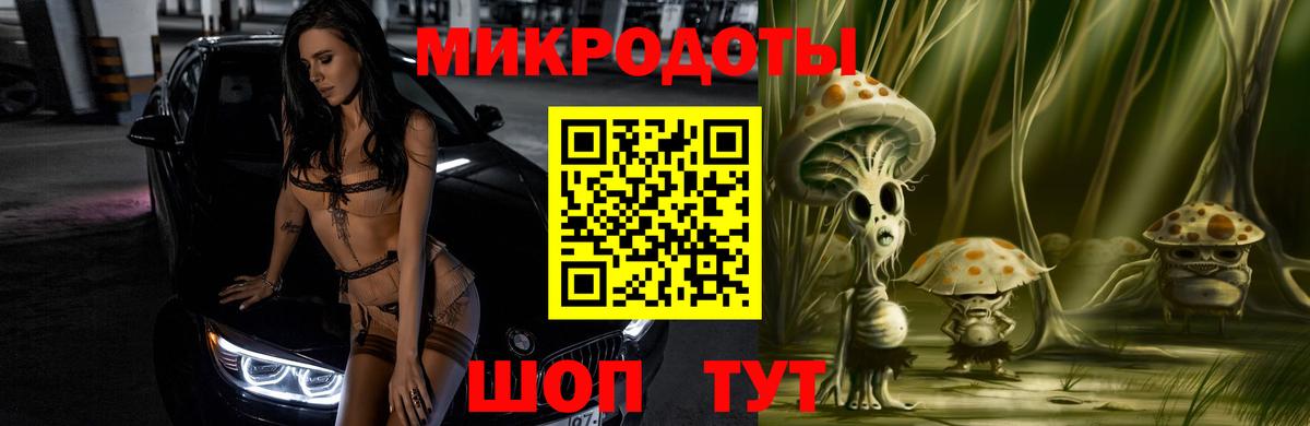 Галлюциногенные грибы Psilocybe Белово